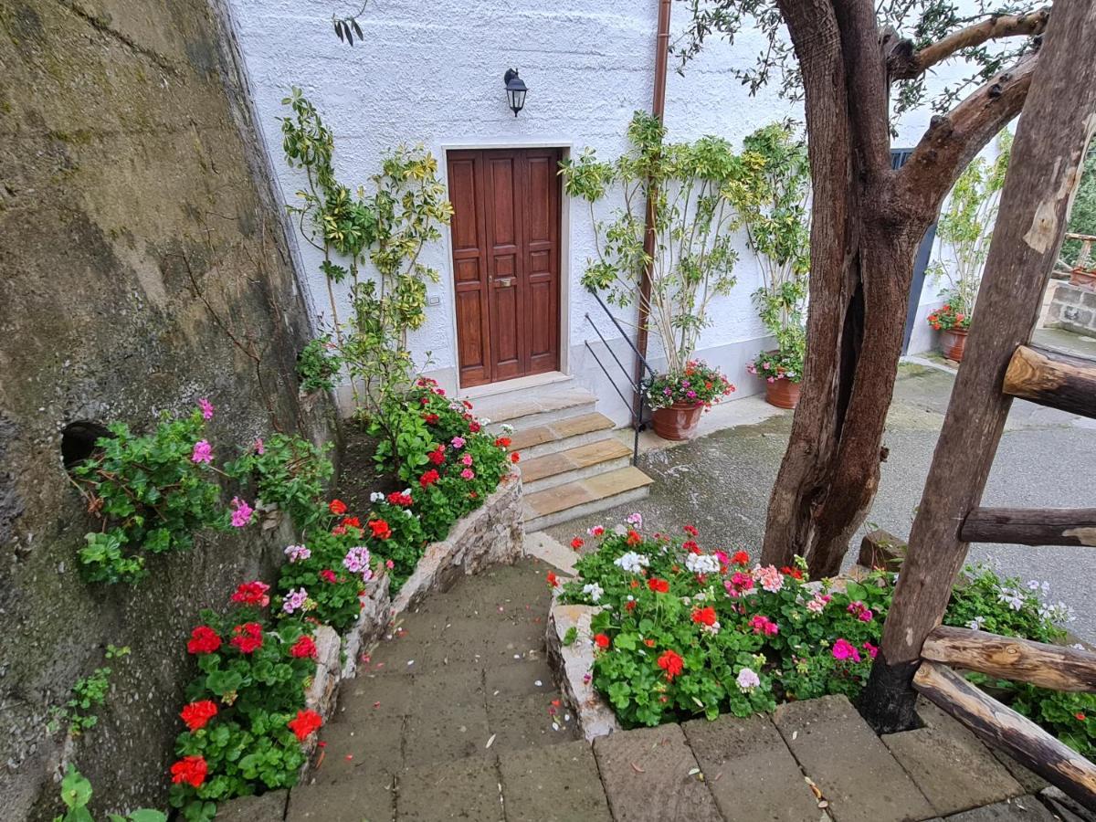 فيلا Casa Betania Da Peppe سورينتو المظهر الخارجي الصورة